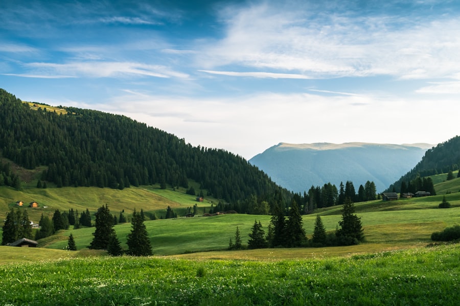 Photo webshop